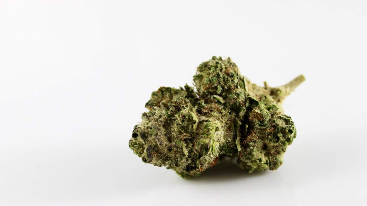 Study finds your favorite ‘pure’ CBD products may have a lot of THC
