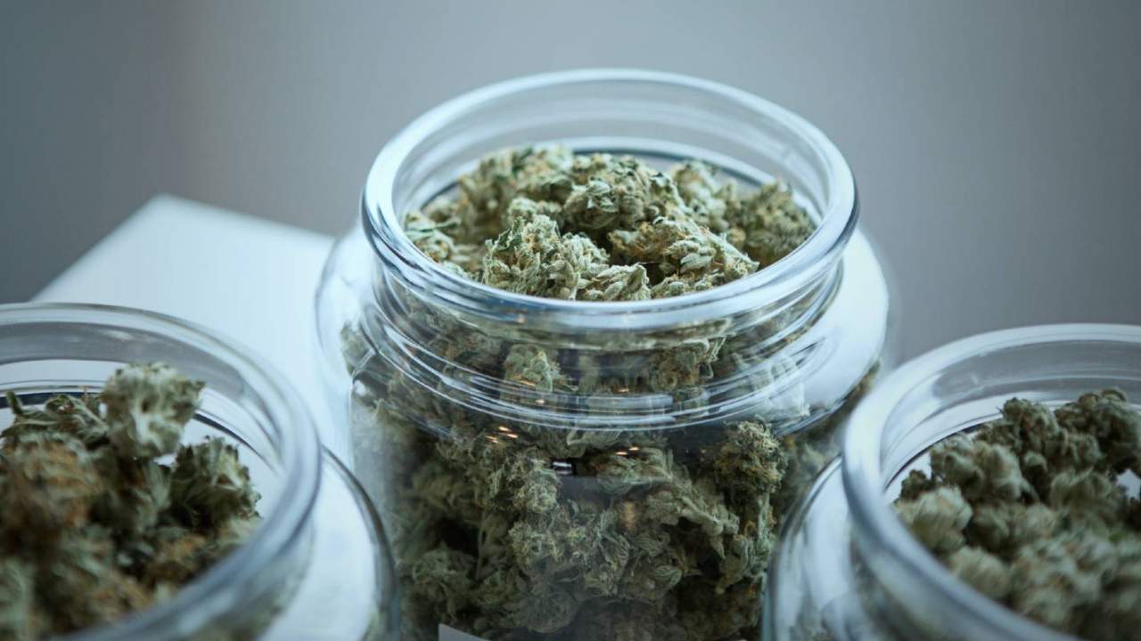 Study finds combining cannabis and an irregular heartbeat can be deadly