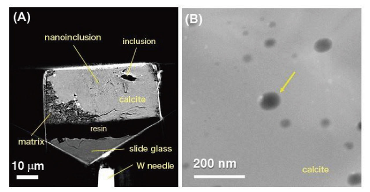 Researchers discover water inside a meteorite from the early solar system