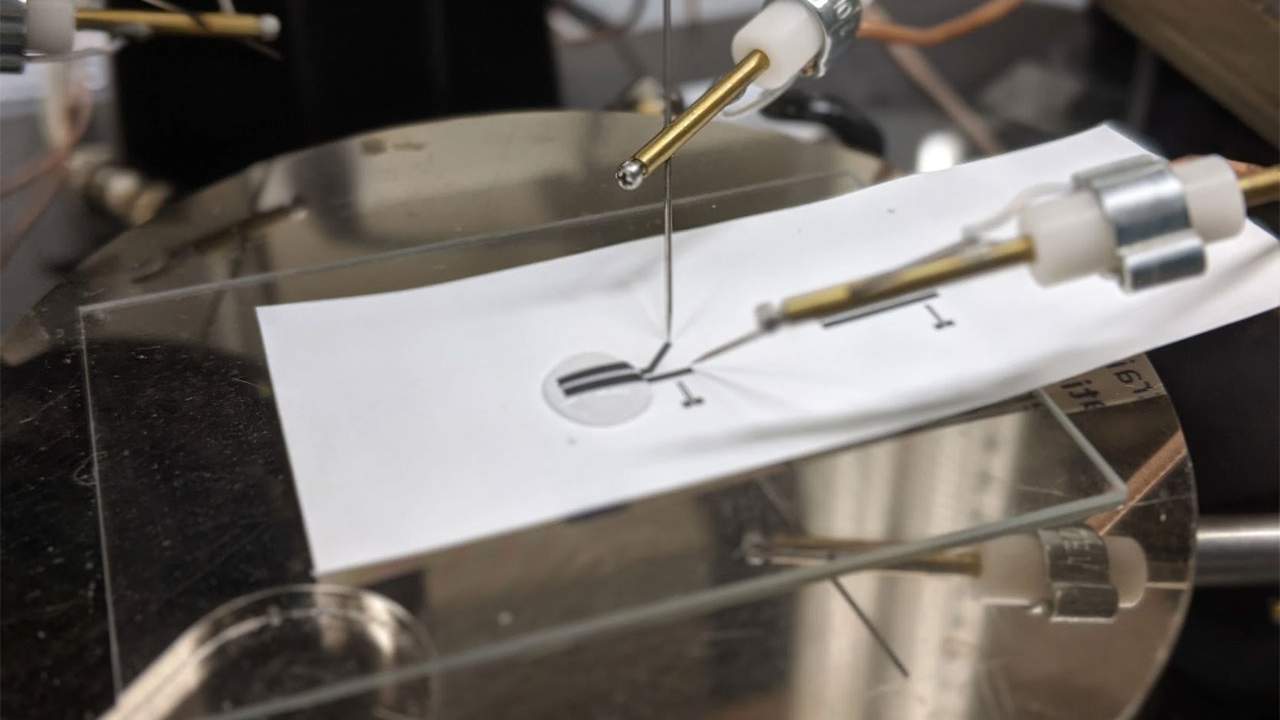 This printable transistor is completely recyclable