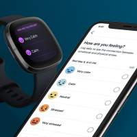 Fitbit is bringing Stress Management to more devices