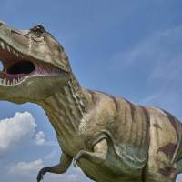 Researchers say the T Rex walked about the same speed as a person