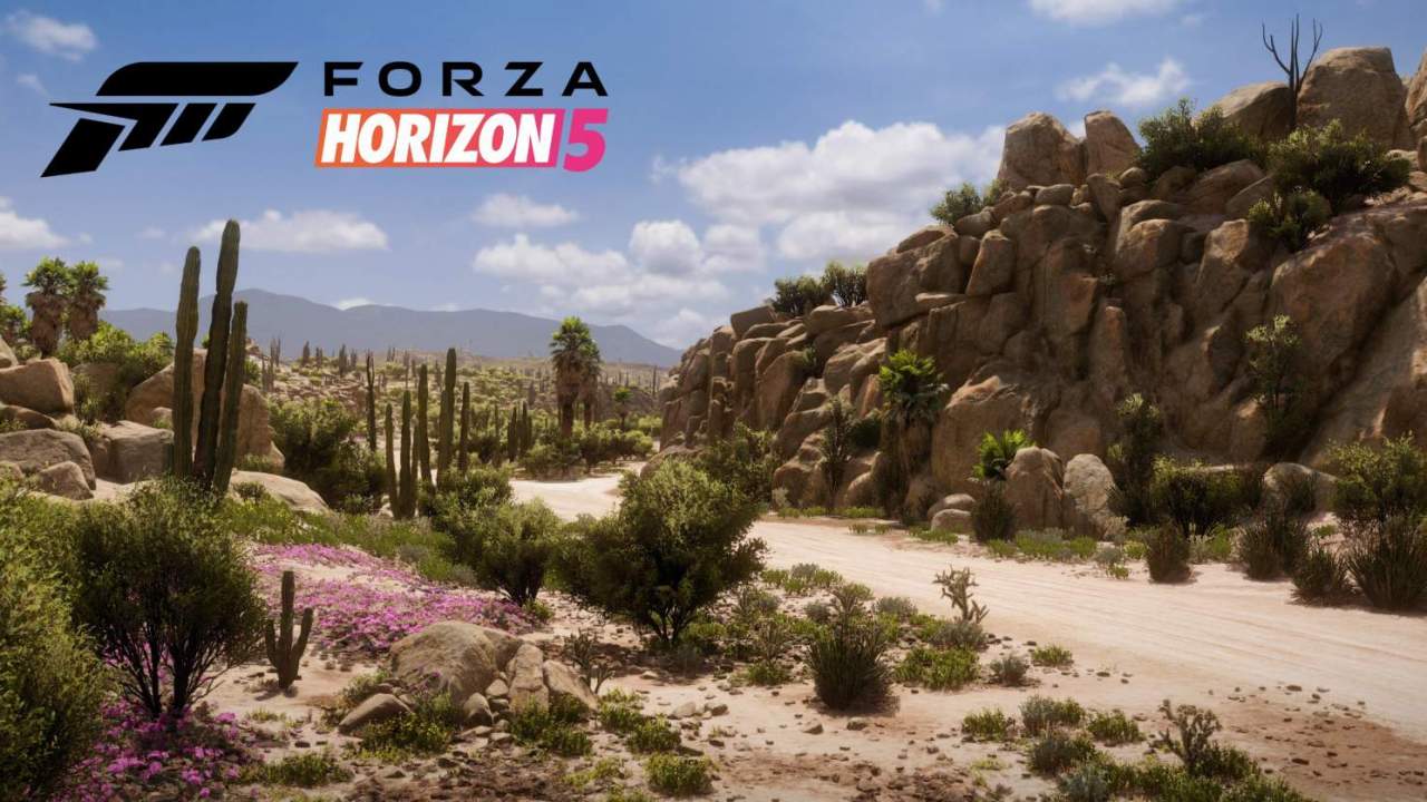 Microsoft details Forza Horizon 5 editions, gameplay modes, performance