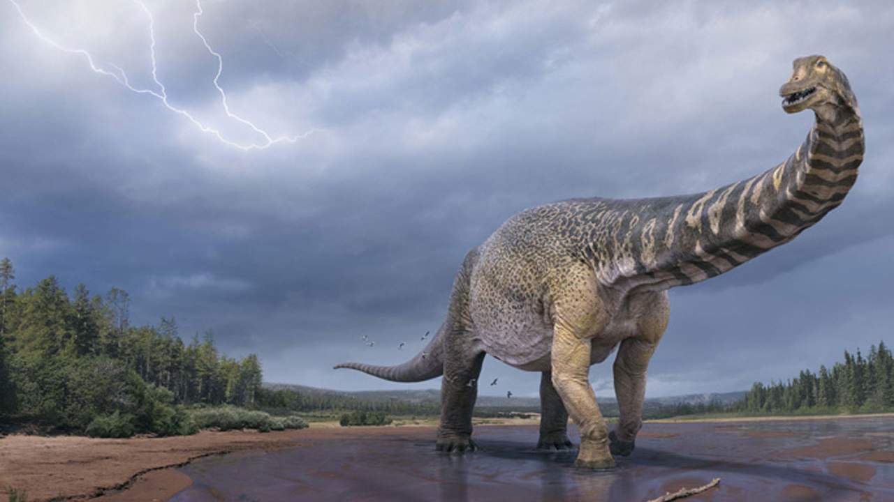 Scientists discover a massive new dinosaur in Australia