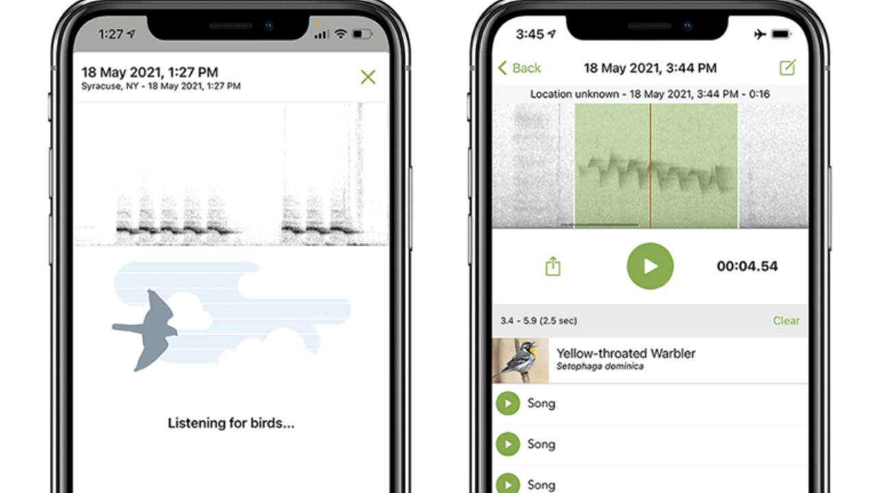 Merlin Bird ID app identifies birds you hear singing