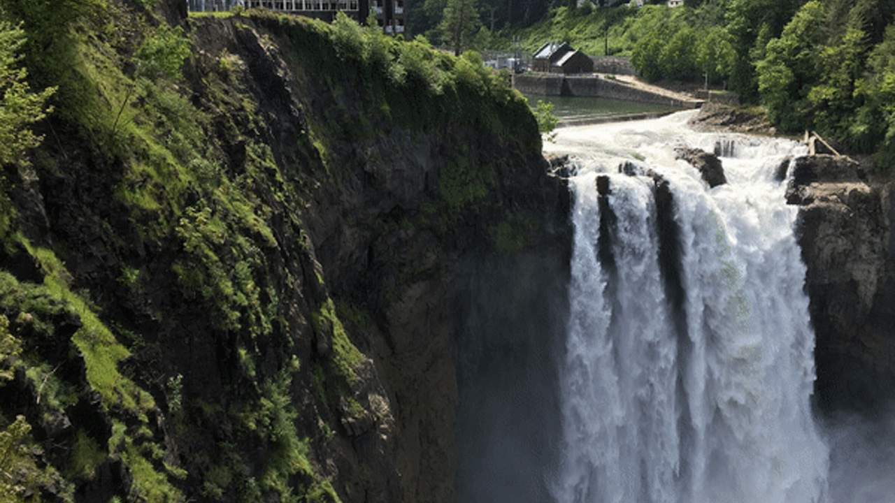 Researchers develop a deep learning method able to animate portions of a photo