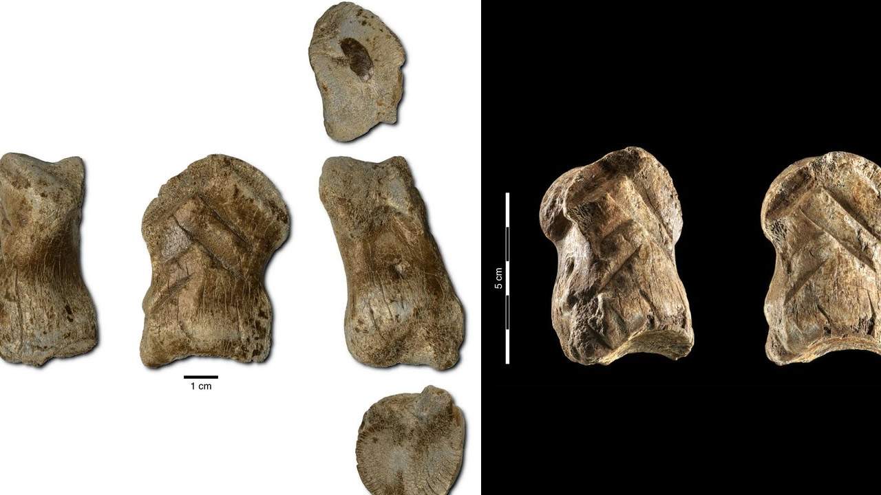 World’s oldest Neanderthal art released as 3D file for free