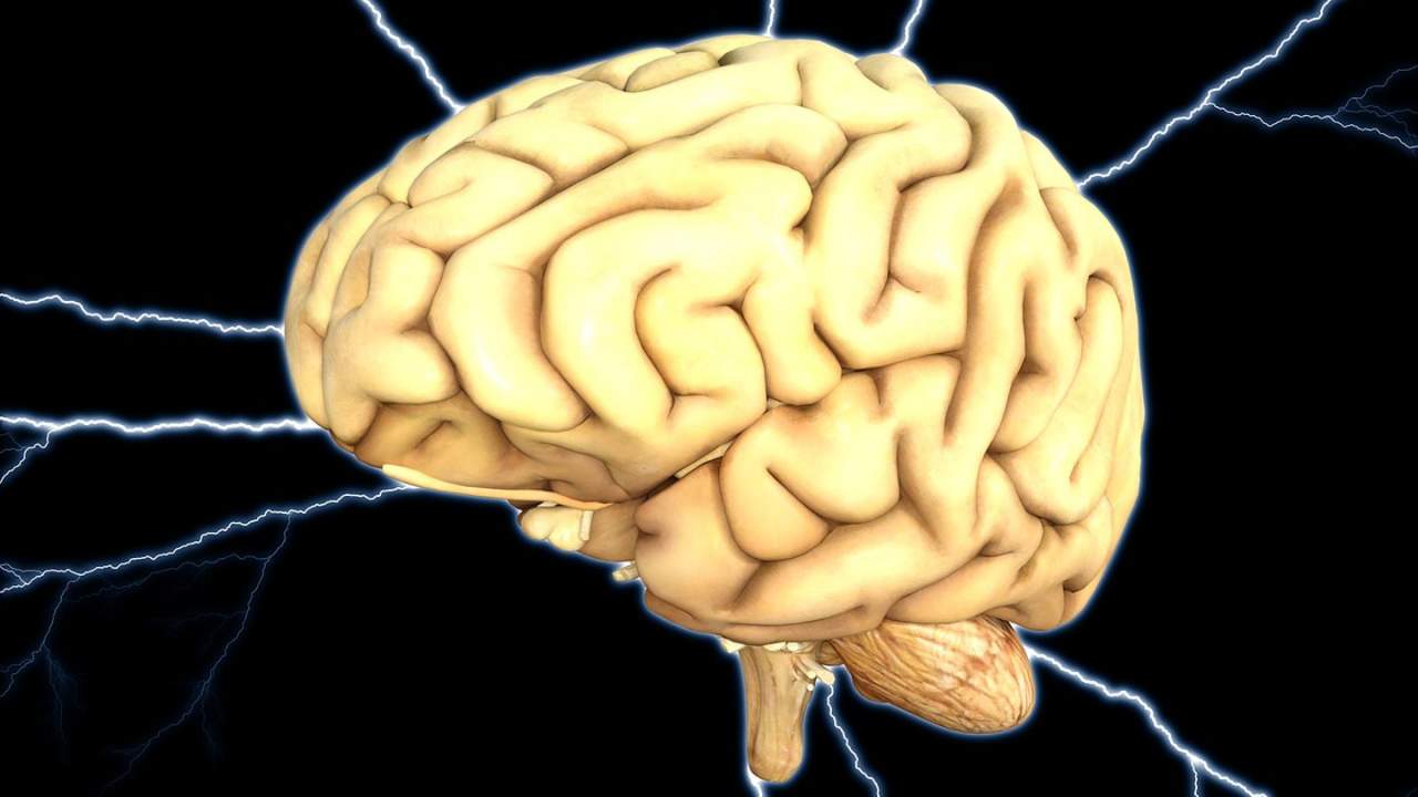 Brain activity once thought to be background noise is actually required