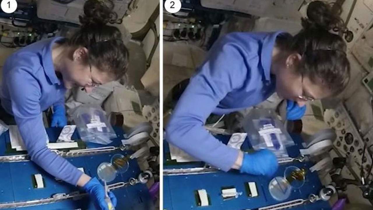 ISS researchers repaired DNA in space using CRISPR/Cas9 genome editing