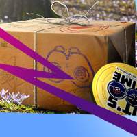 Pokemon GO leak data shows iPhone-only eggs and SMS contact