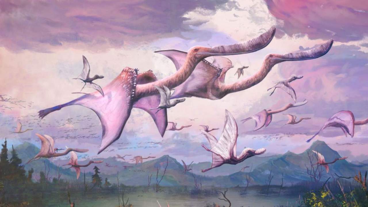 Paleontologists find newly hatched pterosaurs may have been flight-ready