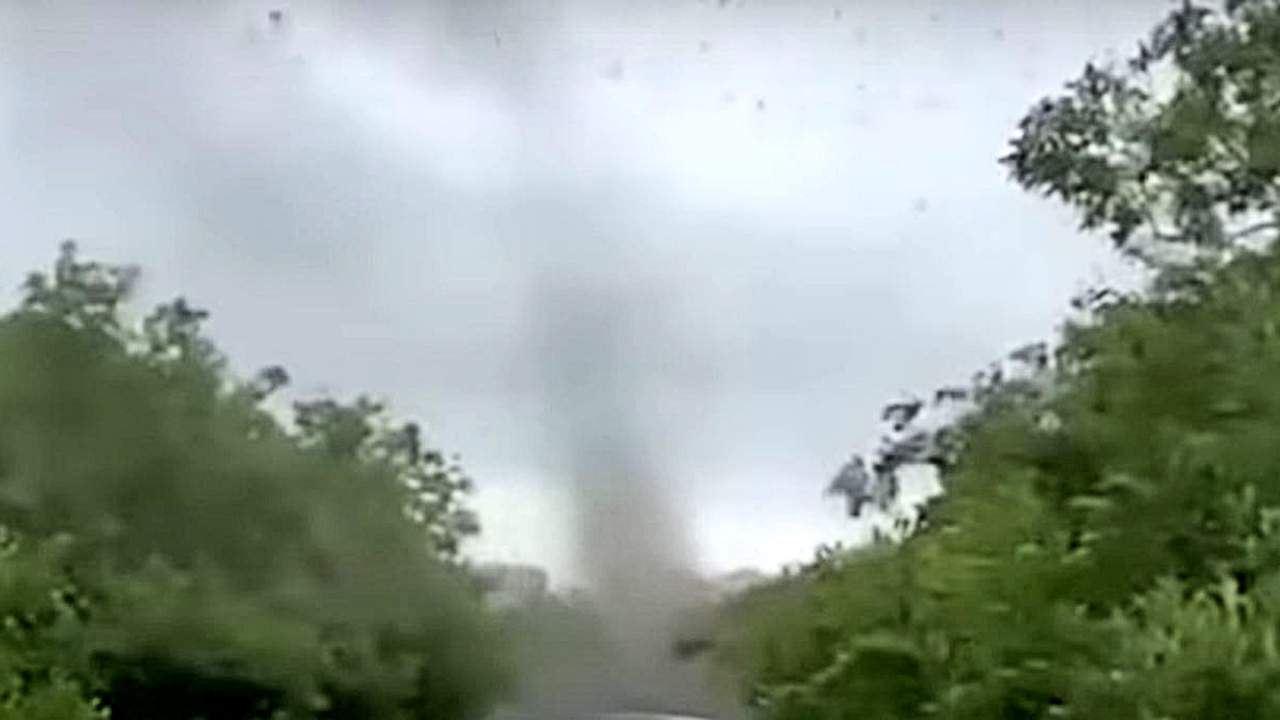 Russia’s mosquito tornado underscores climate change’s dramatic impact