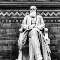 Most Americans now accept evolution as education eclipses religion