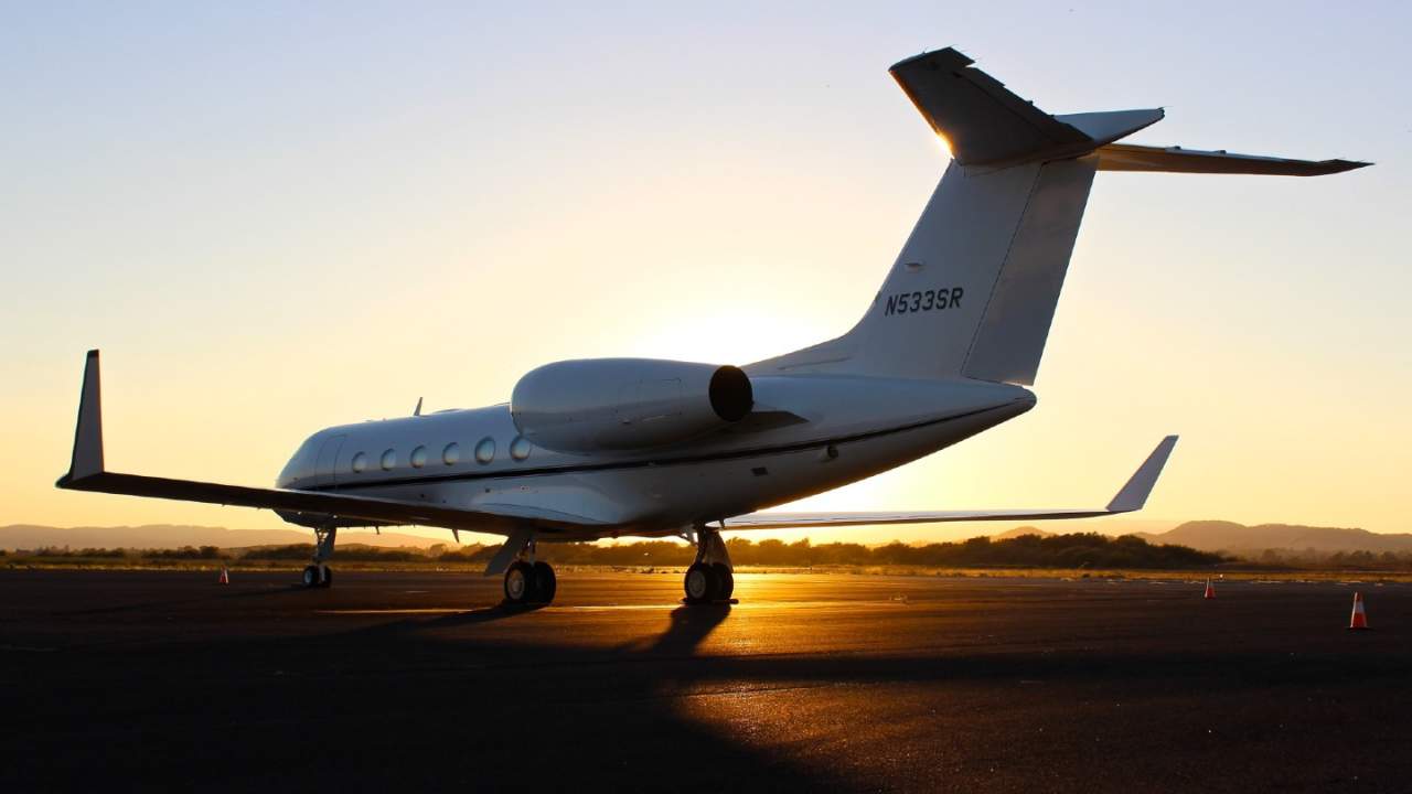 Stinkweed may be a surprising way to make greener jet fuel