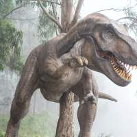 Jurassic Park may have got T-Rex table manners all wrong