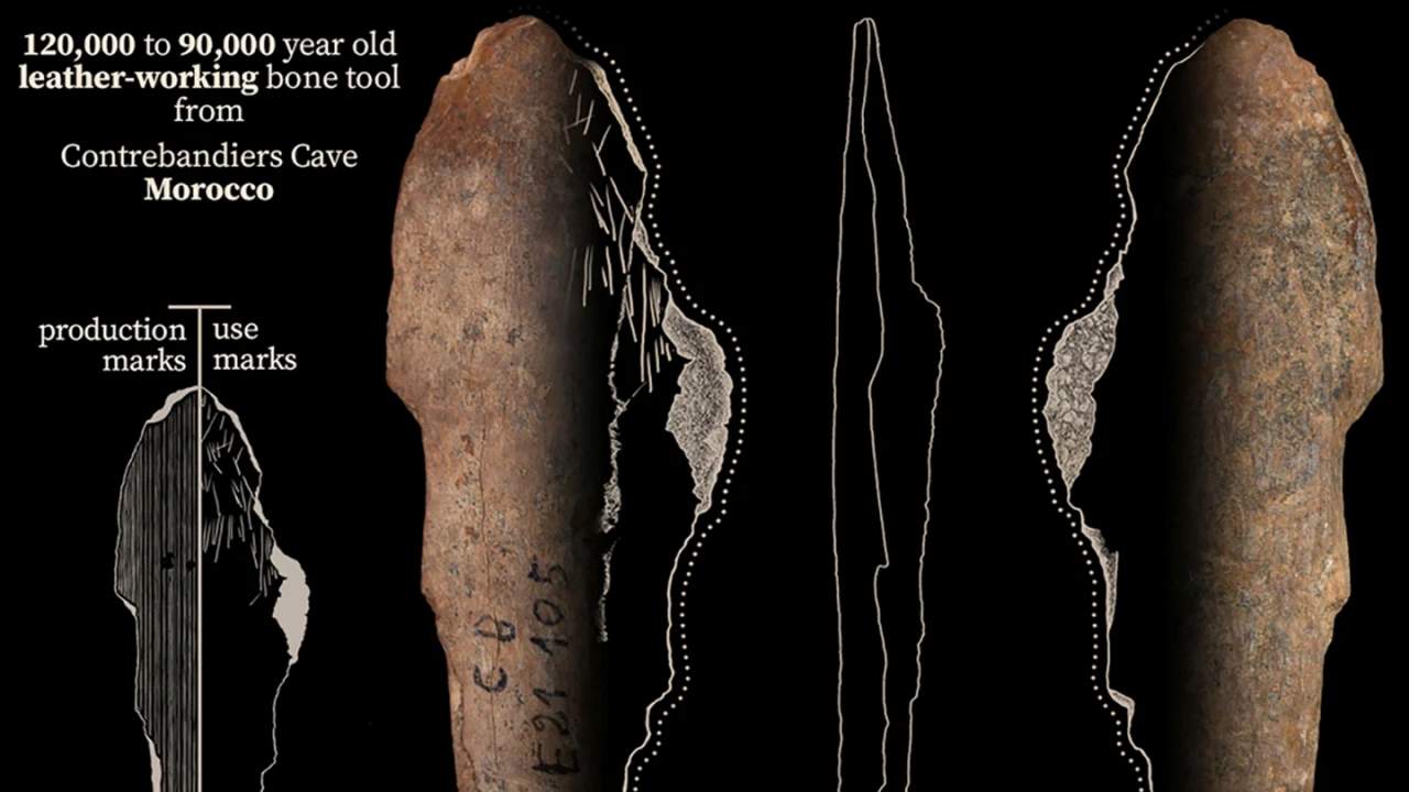 Archaeologists discover ancient bone tools for leathermaking