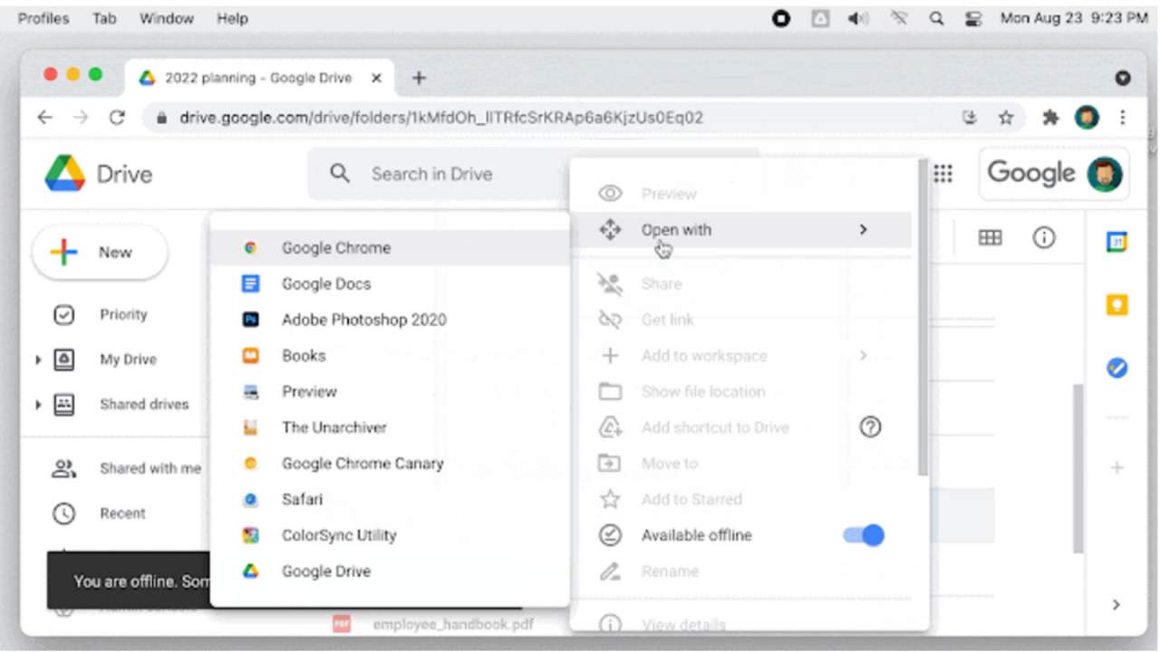 Google Drive makes all file types available offline