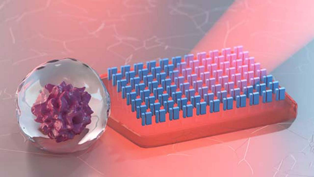 Chalmers researchers create microscopic metavehicles powered by light
