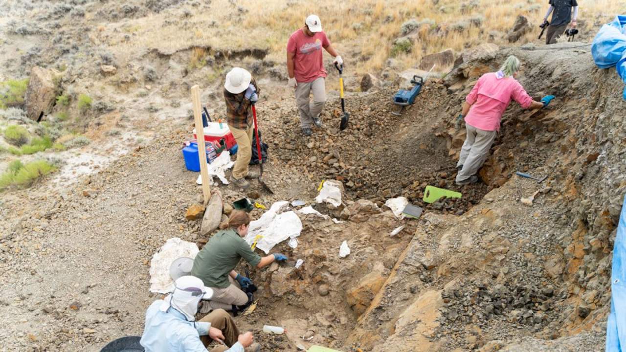 Montana discovery highlights life at the end of the dinosaur era