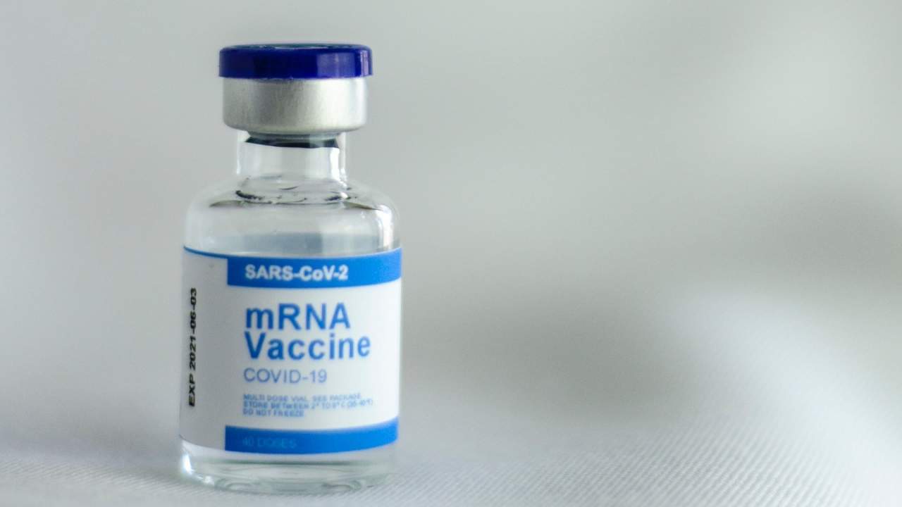 US Border Patrol seizes thousands of fake vaccine cards and Pfizer stickers