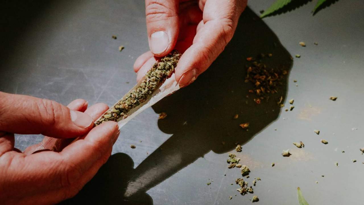 Study warns synthetic cannabis alternative ‘spice’ has worse withdrawals