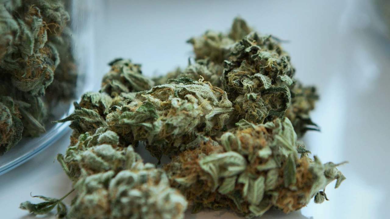 Cannabis users at drastically higher risk of psychosis and schizophrenia