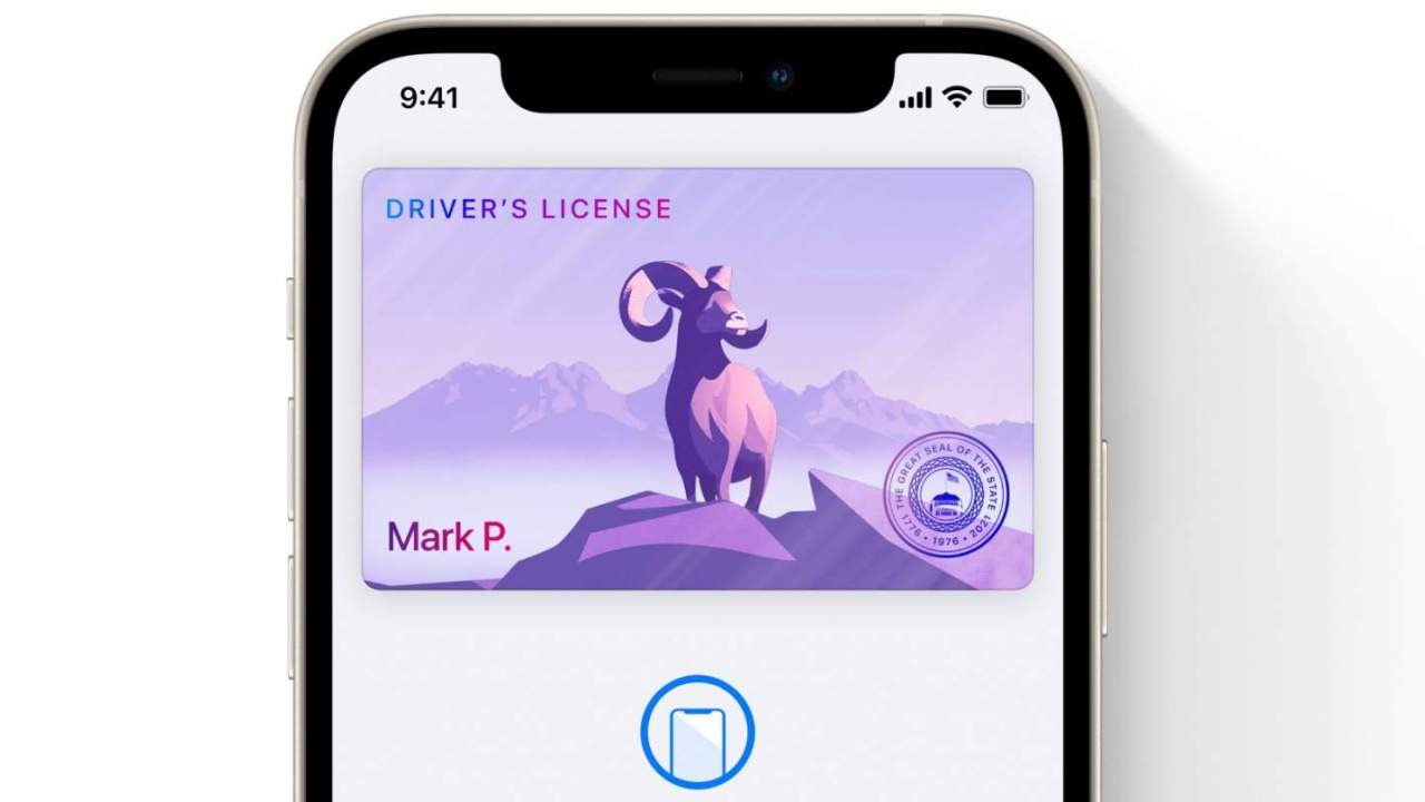 Apple delays controversial iPhone driver’s license feature