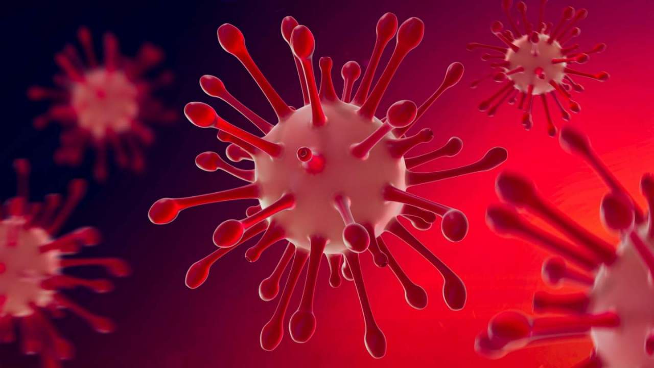 Coronavirus