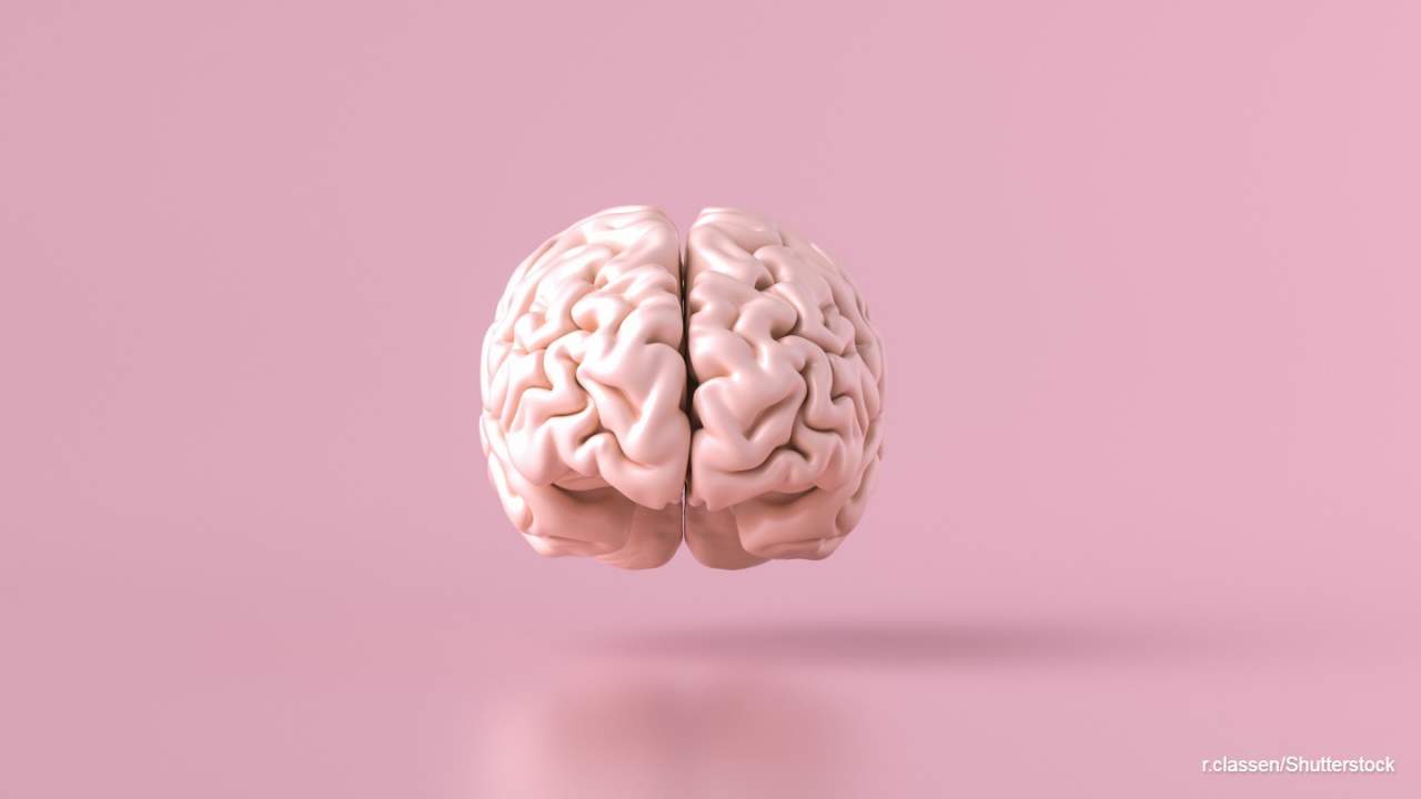 Brain with pink background