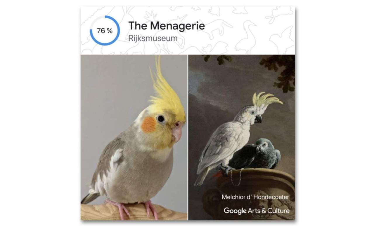 Real bird and art bird