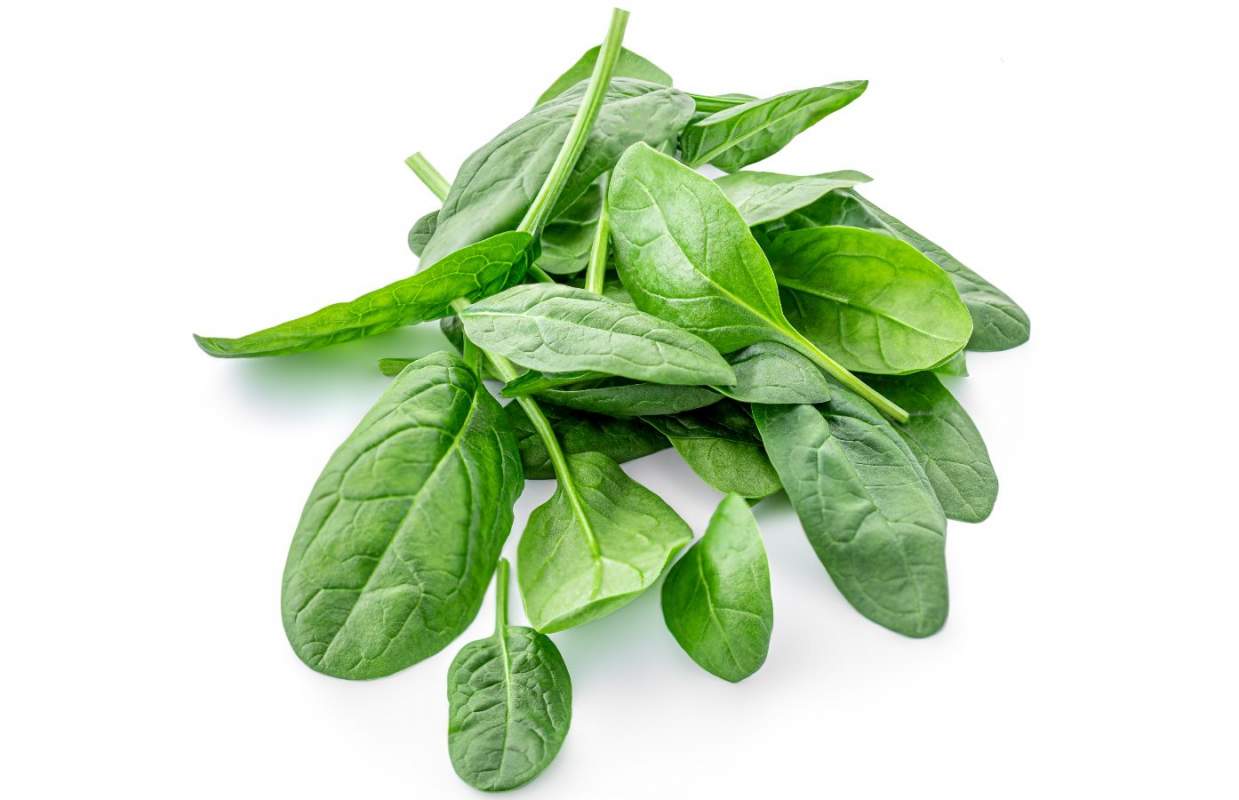 Spinach leaves