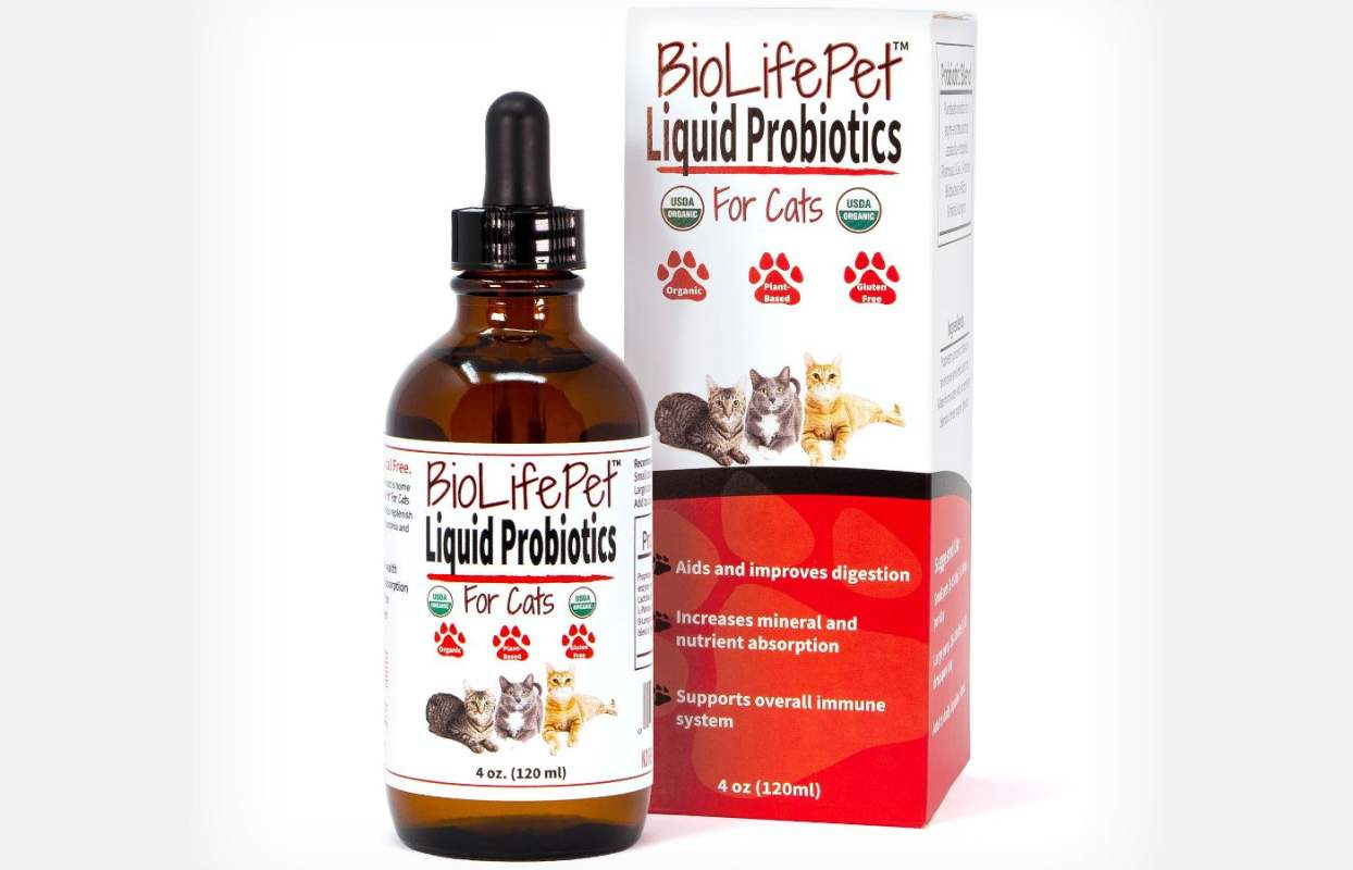 Probiotics for cats bottle