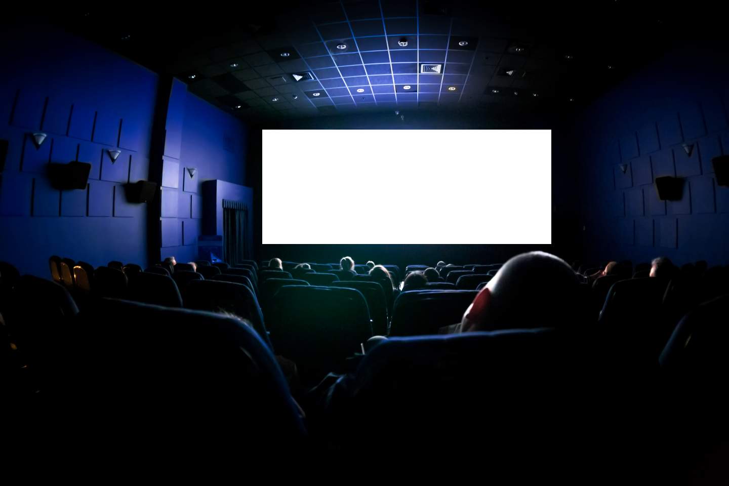People in a theater preparing to watch a movie