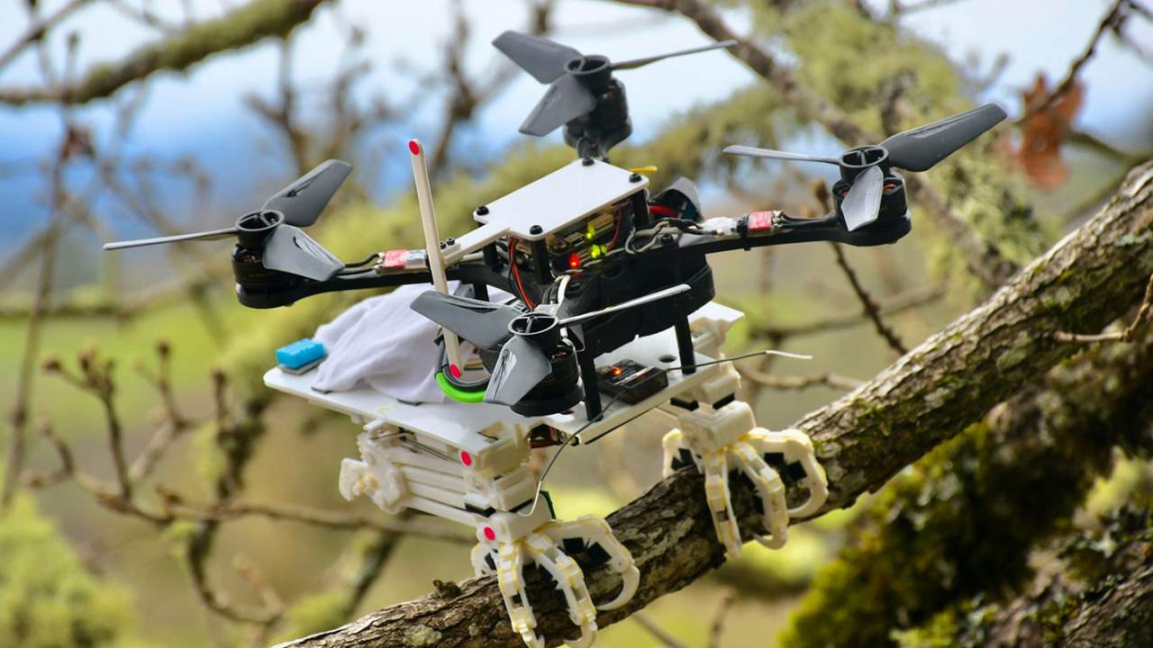 This Stanford drone has bird legs for perching - SlashGear