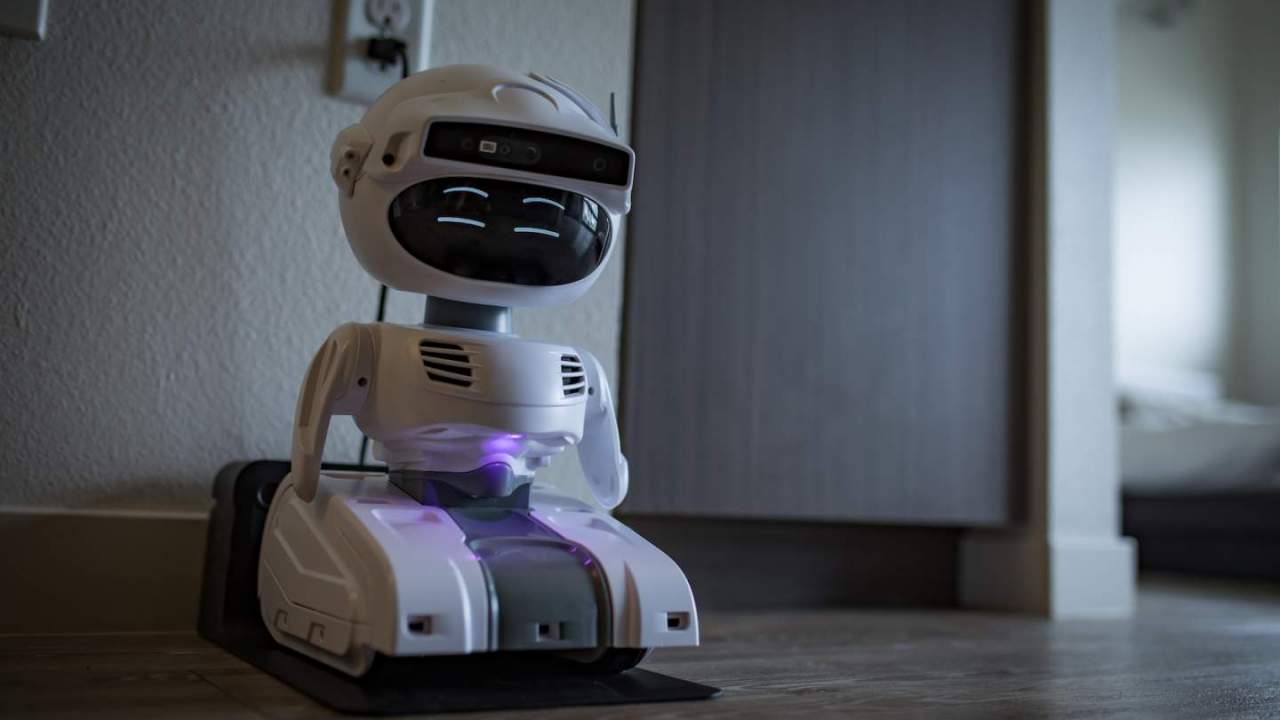 The coolest robots you can buy today