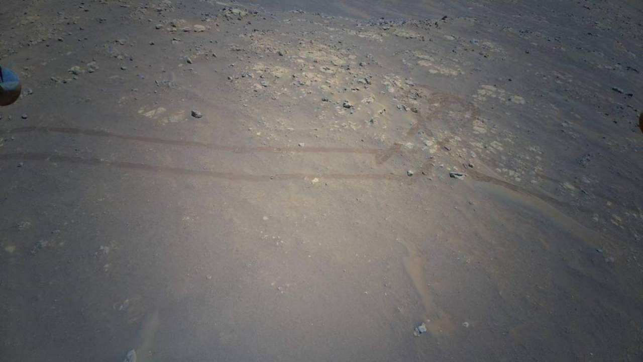 Flight 19 Landing Zone